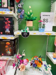 -乐高授权专卖店(济南万象城店)