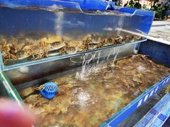 水产区-圣罗巴海鲜自助(黑金店)