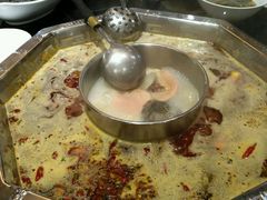 -蜀九香火锅(九眼桥店)