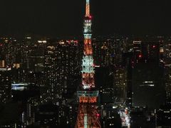 -六本木新城展望台(东京城市景观)