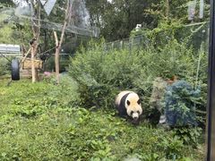 -黔灵山公园