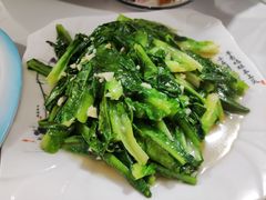 -煲来饱去冷水鱼