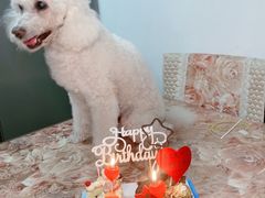 -逸绮瑶澜Miss Mousse Cake蛋糕(三里屯SOHO店)
