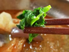 香菜-房记津津老鸭汤