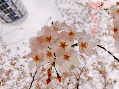 -新天地活力PARK