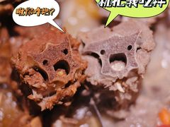 -浩爷羊蝎子火锅(望京店)