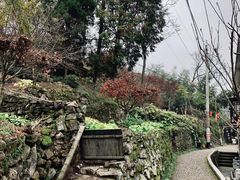 -丹山赤水风景名胜区