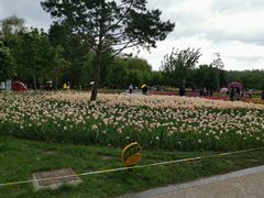 -长春公园(普阳街道)