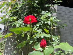 -大妙火锅·非物质文化遗产(东湖公园店)