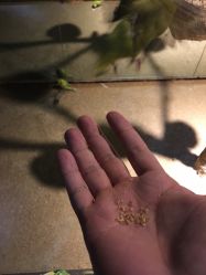 -酷嗒动物文化乐园(cutezoo西溪乐天城店)