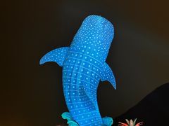 -珠海长隆海洋王国