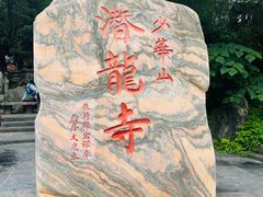 -少华山国家森林公园