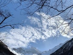 -黄龙山原始森林景区
