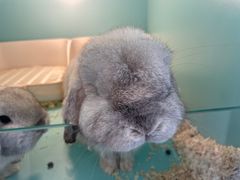 -FAIRYLAND龙族星球主题餐厅(凯丹广场店)