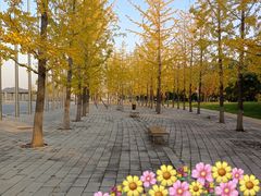 -北京雁栖湖国际会展中心