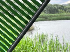 -西湖风景区-江洋畈生态公园