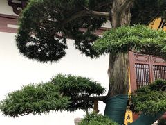 -径山寺