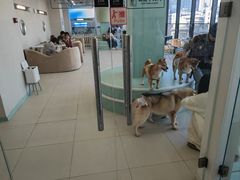 -怪兽屋·羊驼·猫咖·狗咖(俊华广场店)