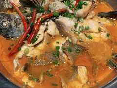 秘制雪山鱼-隔壁老王·家常云南菜(花巷店)