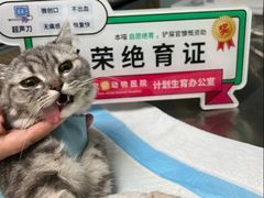 -纳吉亚猫专科动物医院博雅分院