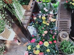 -秦美花卉(天朗·莱茵小城2期店)