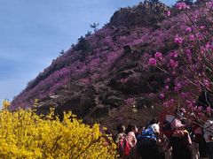 -青岛大珠山景区