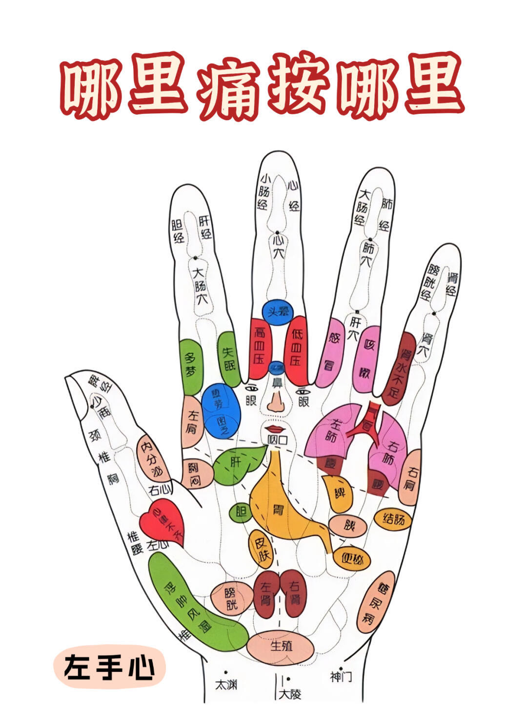 🖐哪里痛按哪✅解决身体小毛病