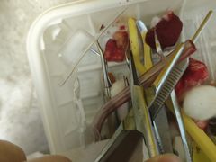 -上海市杨浦区牙病防治所