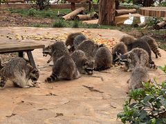 -云南野生动物园