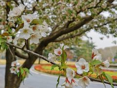 -河南省黄河迎宾馆