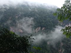 -赤水丹霞旅游区·佛光岩