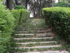 -西安青龙寺遗址景区
