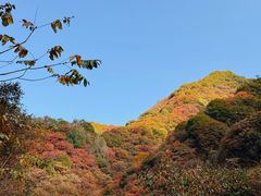 -抱龙峪