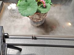 -单家老院·院子里的青岛菜(沙子口店)