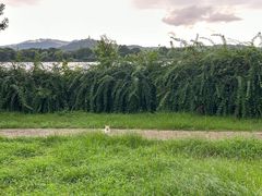 -石湖景区