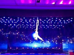 -南风大剧院莎梦二人转剧场