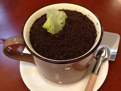 盆栽酸奶-fishtank鱼缸咖啡(三山街店)