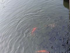 -珠海圆明新园
