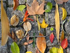 -新虹桥中心花园