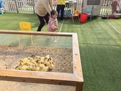 -新地休闲农场