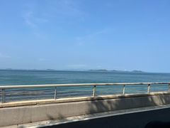 -杨梅坑