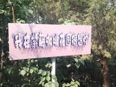 -太阳宫公园