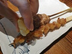 -鸟鹏烧鸟居酒屋(熙龙湾店)