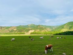 -乌兰布统草原