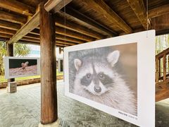 -七德香常德米粉(文化街店)