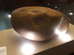 -乐山市博物馆