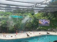 -广州长隆飞鸟乐园