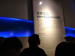 -白鹤梁水下博物馆