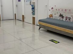 -美联众合动物医院·24h京西诊疗中心