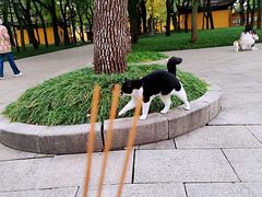 -西园戒幢律寺